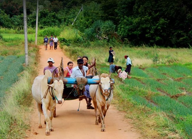 Traditional-Sri-Lankan-Village-Life-header