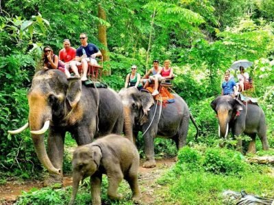 krabi-elephant-sanctuary-1-768x563